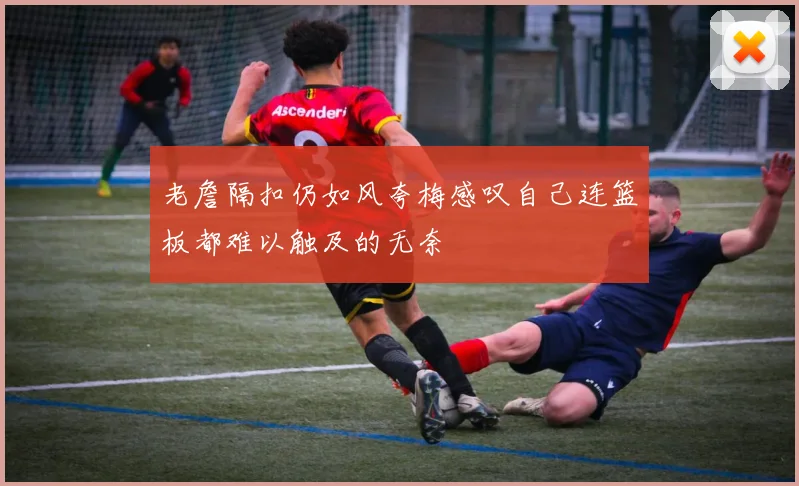 老詹隔扣仍如风夸梅感叹自己连篮板都难以触及的无奈