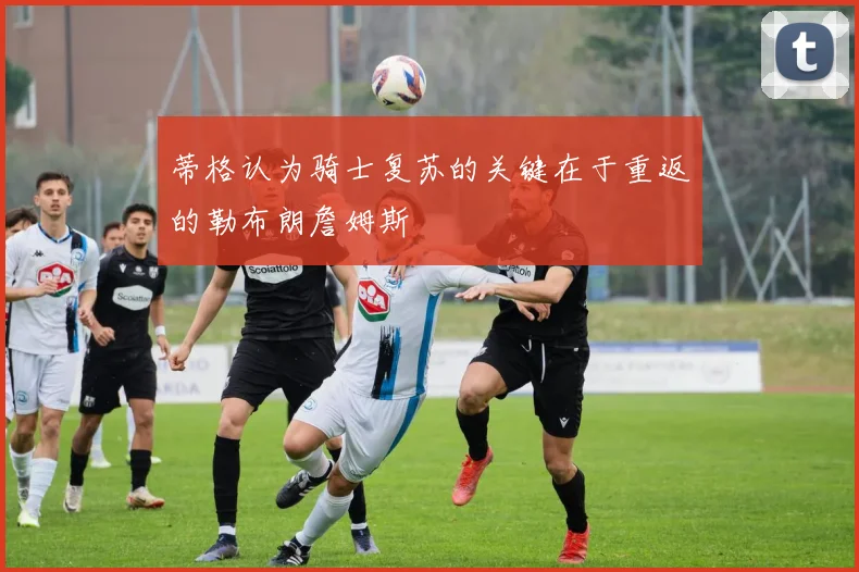 蒂格认为骑士复苏的关键在于重返的勒布朗詹姆斯